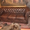 Chesterfield 3 Sitz Sofa Devon mit Bettfunktion