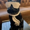 Französische Bulldogge