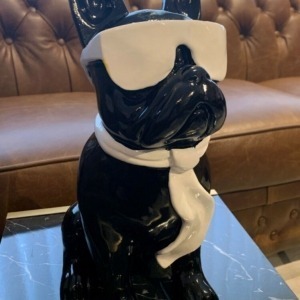 Französische Bulldogge